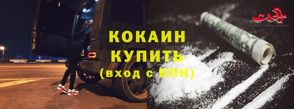 прущие грибы Коряжма