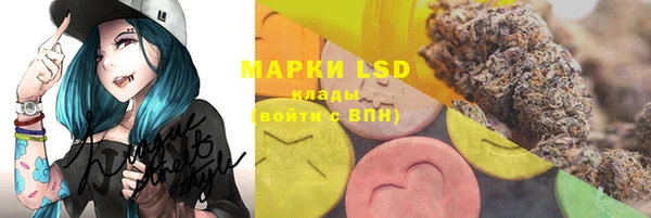 mdpv Козловка