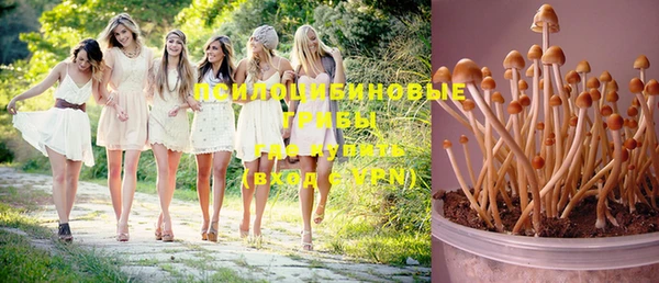 mix Костерёво