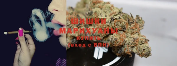 мдпв Корсаков