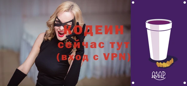 стаф Киренск