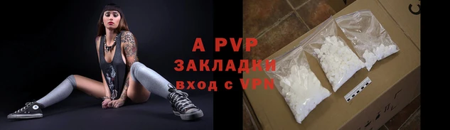 прущие грибы Коряжма
