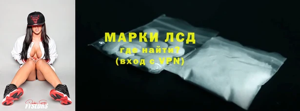 спайс Кодинск