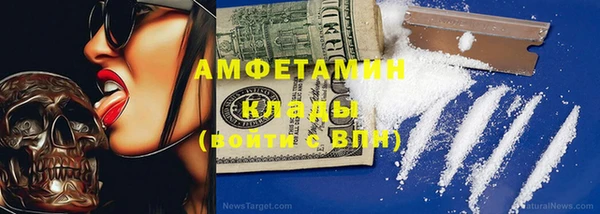 прущие грибы Коряжма