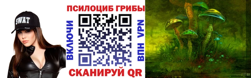 Псилоцибиновые грибы Psilocybine cubensis  закладка  Красавино 